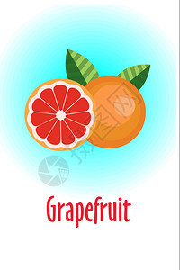 柚子矢量插图整个灰色半的水果图片
