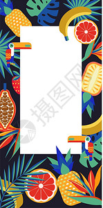 矢量热带框架与文字的位置热带水果鸟嘴鸟棕榈叶生动的插图图片