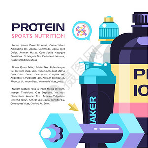 蛋白质,运动营养,能量饮料,水,瓶,哑铃矢量插图与文本的位置图片
