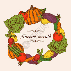 五颜六色的蔬菜框架彩色装饰框架形状的圆形花环新鲜蔬菜矢量插图图片