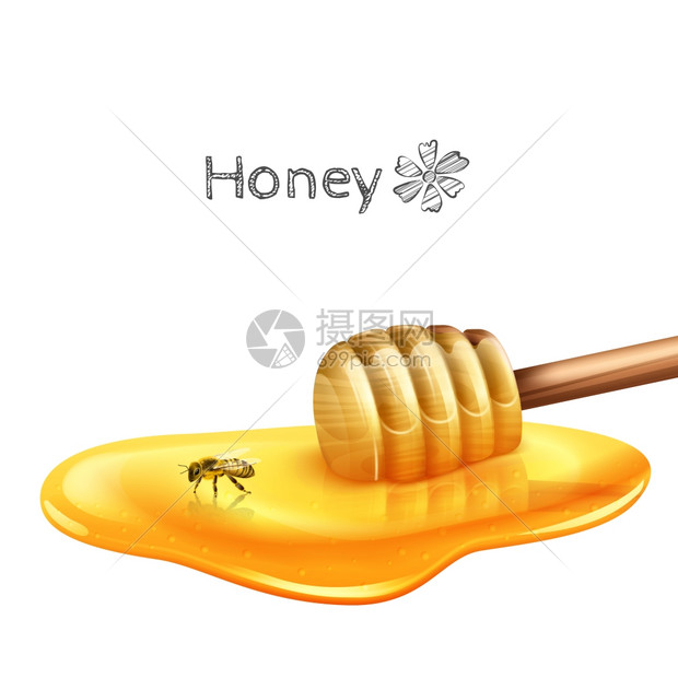 甜蜂蜜水坑与棍子蜜蜂现实矢量插图蜂蜜用棍子水坑图片