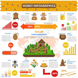 蜂蜜信息集与蜜蜂产品信息图表矢量插图蜂蜜信息图集图片