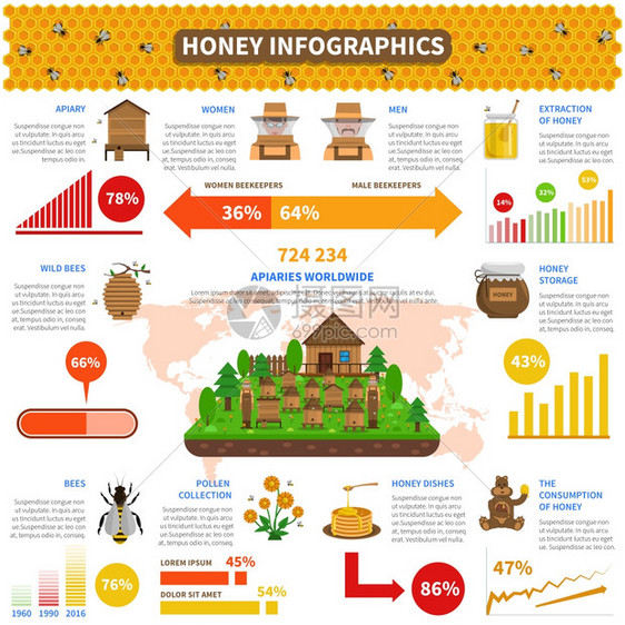 蜂蜜信息集与蜜蜂产品信息图表矢量插图蜂蜜信息图集图片
