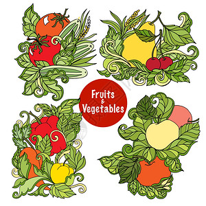 四种五颜六色的观赏果蔬合,肉质叶,乡村风格,生态抽象,矢量插图观赏水果蔬菜合集图片