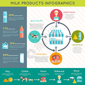 牛奶乳制品信息图表布局海报生态奶场乳制品生产工艺流程及品种展示信息图表海报布局抽象矢量插图图片