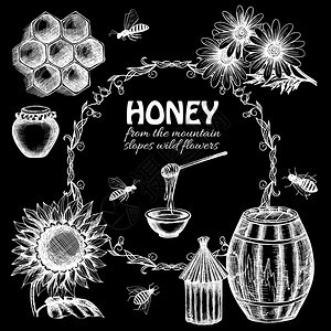 黑板蜂蜜套装黑板素描蜂蜜植物蜜蜂装饰图标矢量插图图片