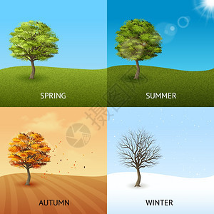 树集四季集与树木的天空背景孤立矢量插图图片