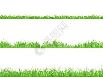绿草平横横幅套最好看的草坪3理想的草高割平水平横幅抽象孤立矢量插图图片