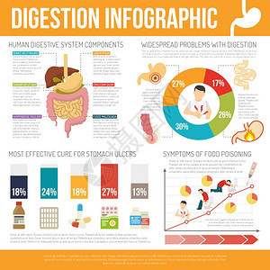 消化信息图集消化信息图集与人类消化问题符号平孤立向量插图图片