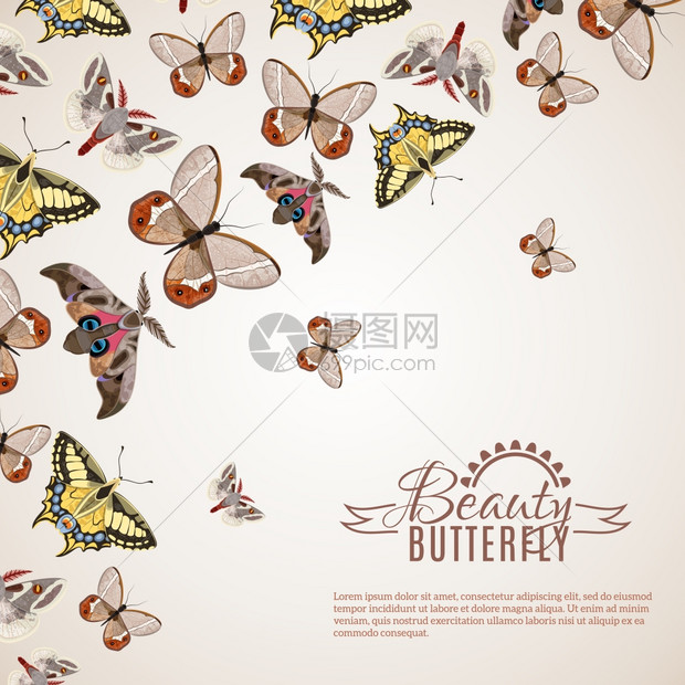 蝴蝶现实背景美丽的蝴蝶装饰背景与同的蛾机器矢量插图图片