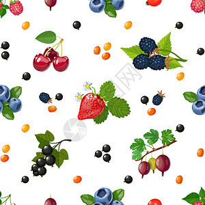 新鲜浆果无缝彩色图案新鲜的野生浆果花园浆果混合五颜六色的图案,用于垫包装纸抽象矢量插图图片