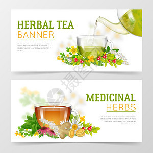 草药茶草药横幅两个水平彩色横幅的草药草药茶杯子周围的草药分离矢量插图图片