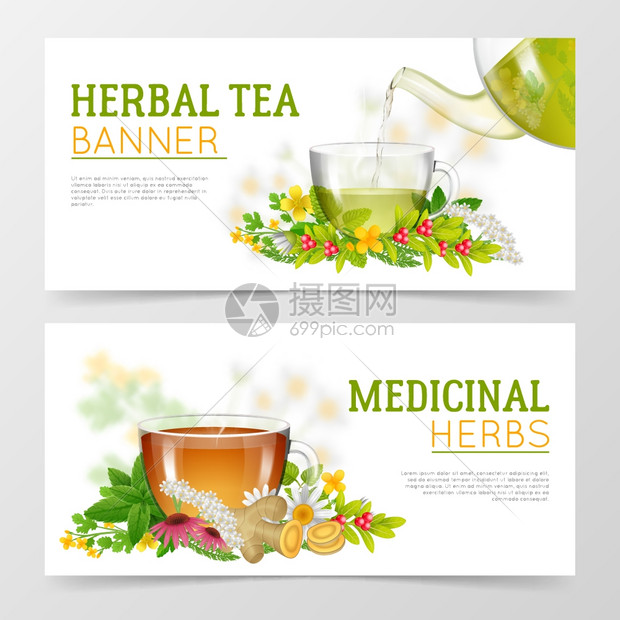 草药茶草药横幅两个水平彩色横幅的草药草药茶杯子周围的草药分离矢量插图图片