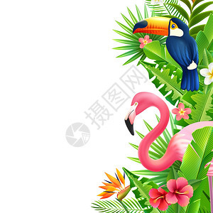 热带雨林火烈鸟垂直五颜六色的边界华丽的热带雨林树叶垂直边界与粉红色火烈鸟巨嘴鸟天堂鸟花卉彩色矢量插图图片