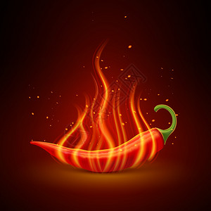 红辣椒现实的单象火红的辣椒豆荚黑暗中发光,热菜象征着单的物体海报现实的矢量插图插画