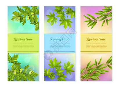 三个垂直横幅明亮的彩色春天收集垂直横幅与橄榄橡树枫树枝阳光下眩光背景平矢量插图背景图片