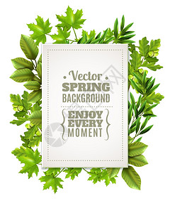 带弹簧叶的装饰框架装饰绿色框架与春天的叶子落叶树的枝条白色矩形与文字前景矢量插图图片