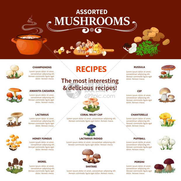 什锦蘑菇信息图什锦蘑菇信息平布局与视觉信息同的食用物种最趣美味的食谱矢量插图图片