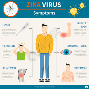 寨卡病症状设定齐卡症状设定齐卡病海报齐卡平插图齐卡病载体齐卡病信息齐卡病警告图片