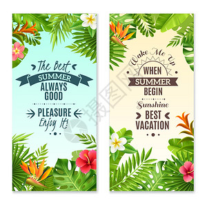 热带植物2彩色度假横幅暑假热带雨林2垂直横幅与芙蓉鸟类天堂植物花卉孤立矢量插图图片
