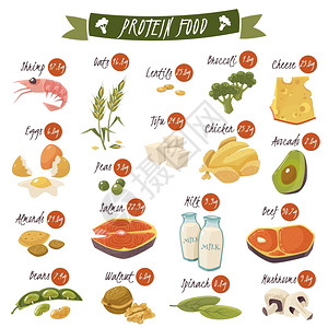 蛋白质丰富的食物平图标最佳蛋白质食品图标收集健康饮食与鲑鱼,豆类,杏仁鸡分离矢量插图图片