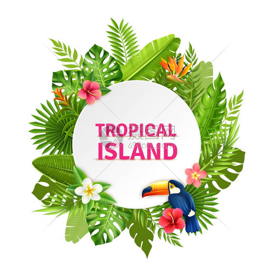 热带岛屿植物群巨嘴鸟框架热带岛屿装饰圆形框架与巨嘴鸟肉质雨林植物花卉彩色矢量插图图片