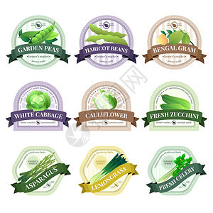 蔬菜草药平标签机种植的新鲜生态蔬菜标志标签农贸市场与菜花甘蓝芹菜分离矢量插图背景图片