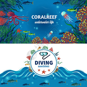 捕捞扇贝海底生活水平横幅海洋生物水平横幅与彩色图像的珊瑚礁,异国