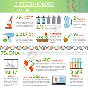生物技术遗传学信息图生物技术信息布局与医学基因工程研究的信息,植物育种平矢量图图片