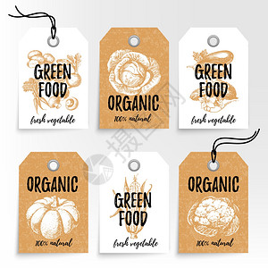 手绘蔬菜销售标签100天然机生态食品绿色产品标签素描复古矢量插图黄金图片