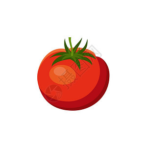 白色背景上的西红柿蔬菜,维生素,健康食品饮食,素食主义矢量图片