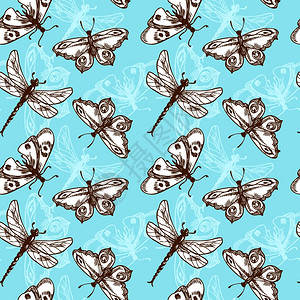蝴蝶蜻蜓昆虫蓝色素描无缝图案矢量插图图片