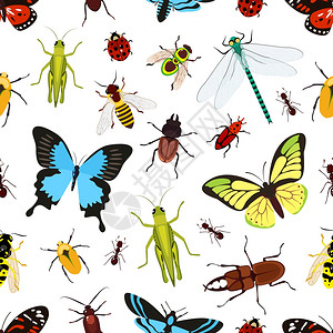 昆虫彩色无缝图案与蝗虫黄蜂蝴蝶矢量插图图片