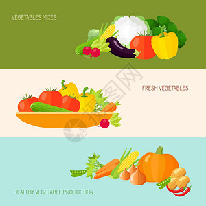 蔬菜新鲜健康生产水平横幅孤立矢量插图图片