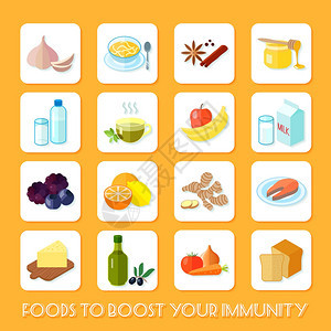 健康食品,提高您的免疫力图标平矢量插图图片