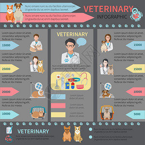 兽医平信息图集与宠物医生动物矢量插图图片