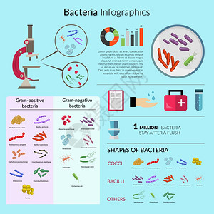 细菌微生物信息图集与显微镜医学图表矢量插图背景图片