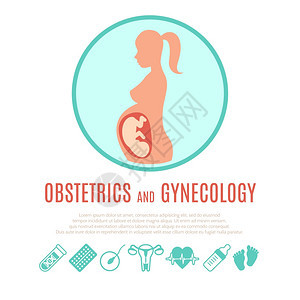 医学基因生态学产科教育妊娠发展图片演示与信息图元素海报打印抽象矢量插图背景图片