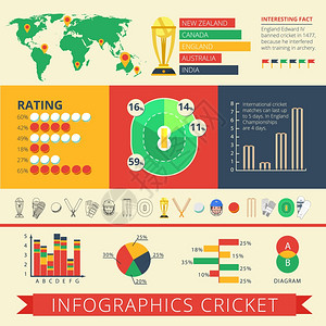 历史背景事实国际板球比赛统计图表,图表评级报告,海报抽象矢量插图信息图表报告板球海报图片