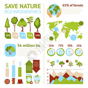 保存自然生态信息集与森林符号图表矢量插图森林信息图集图片