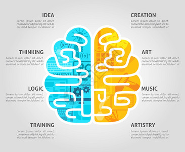 大脑功能与左智力右情绪半球平矢量插图大脑扁平图片