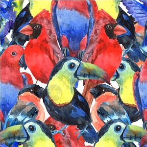 热带鸟类着色无缝图案热带鸟类彩色构图无缝图案丝网印刷与鹦鹉巨嘴鸟头抽象矢量插图背景图片