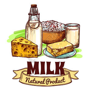 牛奶产品草图牛奶天然乳制品与文字标志草图手绘颜色无缝矢量插图图片