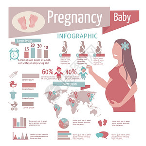 怀孕信息与生殖符号图表矢量插图怀孕信息图集图片