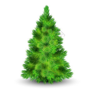 诞树插图诞树用绿色树枝装饰房子的逼真矢量插图图片