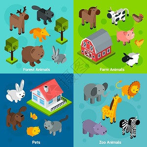 动物集与等距林场动物园动物宠物孤立矢量插图等距动物集合图片