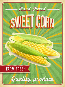 甜玉米海报甜农场新鲜玉米海报与玉米棒现实矢量插图图片