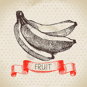 手绘素描水果香蕉生态食品背景矢量插图图片