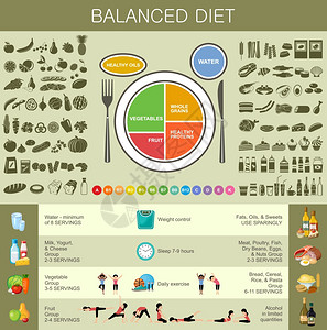 健康饮食信息图健康生活方式的建议产品的图标矢量插图图片