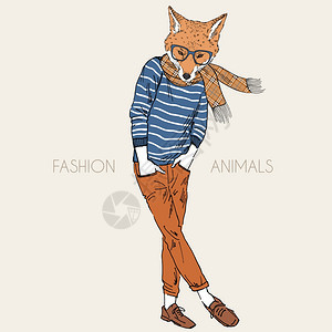 拟人化手绘狐狸的插图,穿着休闲风格背景图片